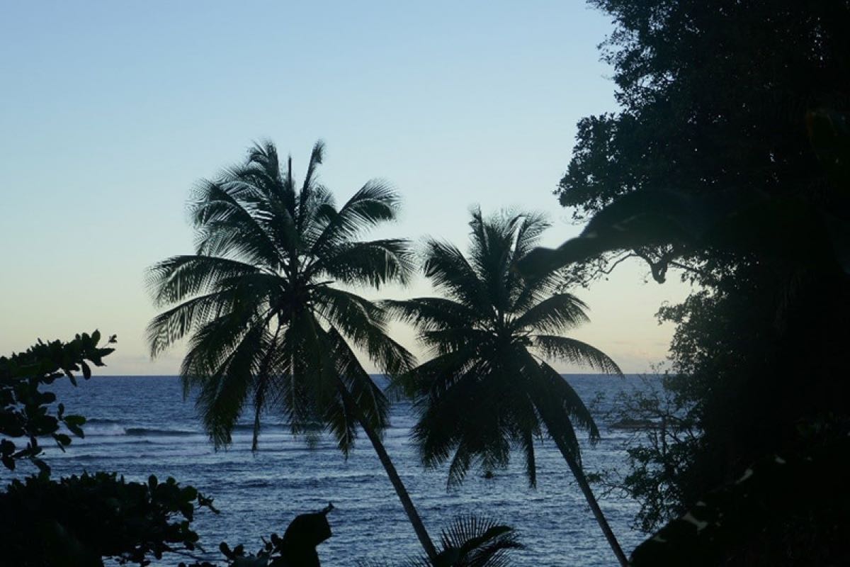 Insel Dominica