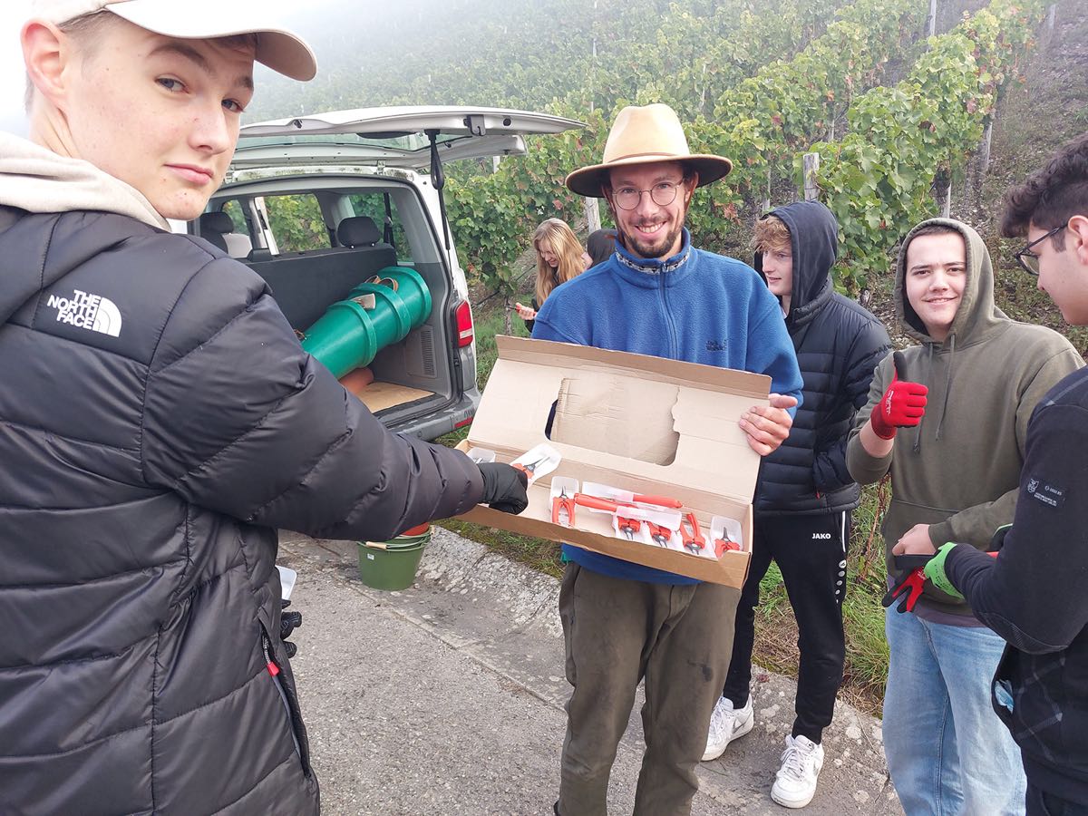 Zu sehen ist eine Gruppe an Schülerinnen und Schülern im Teenageralter, die vor einem Weinberg stehen und ein Karton mit Gartenscheren in der Hand halten.